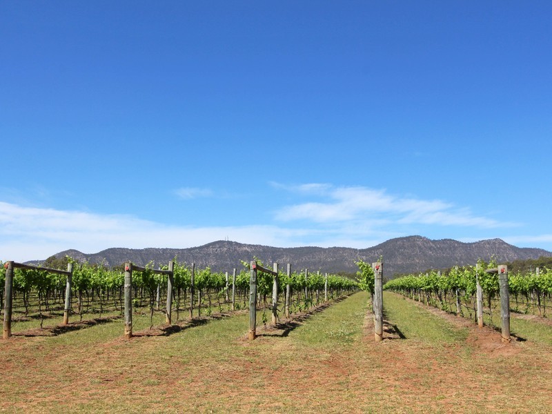 132/ Mistletoe Lane, Pokolbin NSW 2320