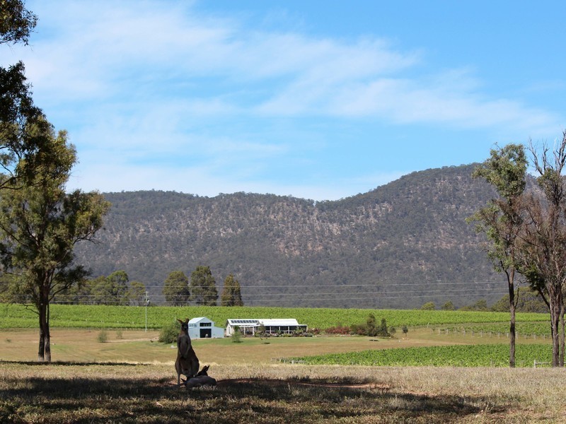 132/ Mistletoe Lane, Pokolbin NSW 2320