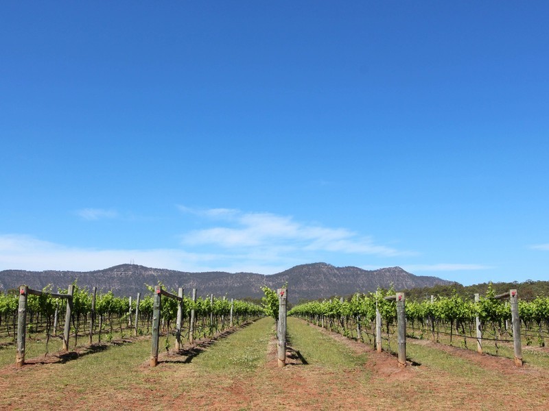 132/ Mistletoe Lane, Pokolbin NSW 2320