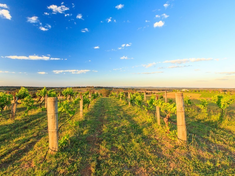 276 O’Connors Road, Pokolbin NSW 2320