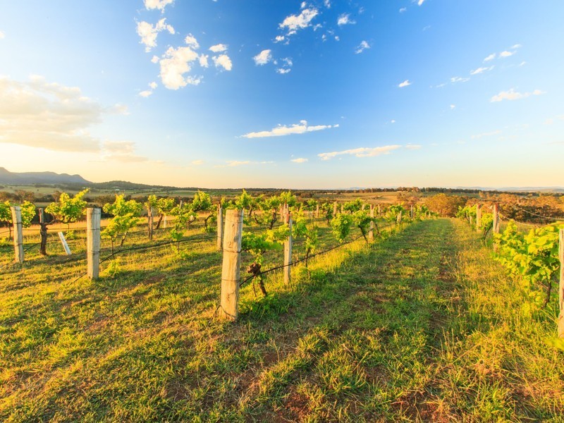 276 O’Connors Road, Pokolbin NSW 2320