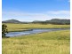 223 Anambah Road, Anambah NSW 2320