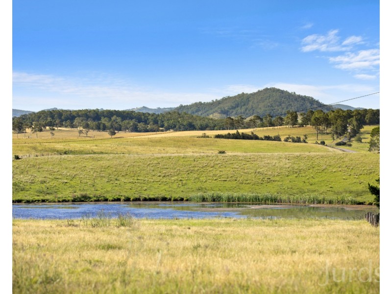 223 Anambah Road, Anambah NSW 2320