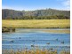 223 Anambah Road, Anambah NSW 2320