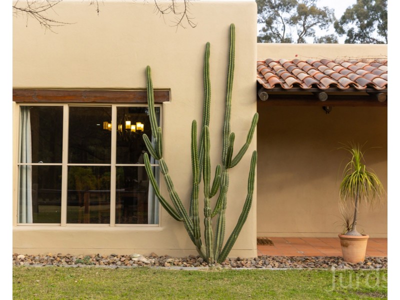 657 McDonalds Road, Pokolbin NSW 2320