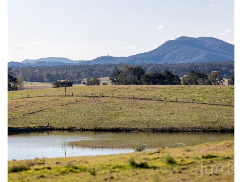 485 Luskintyre Road, Luskintyre NSW 2321