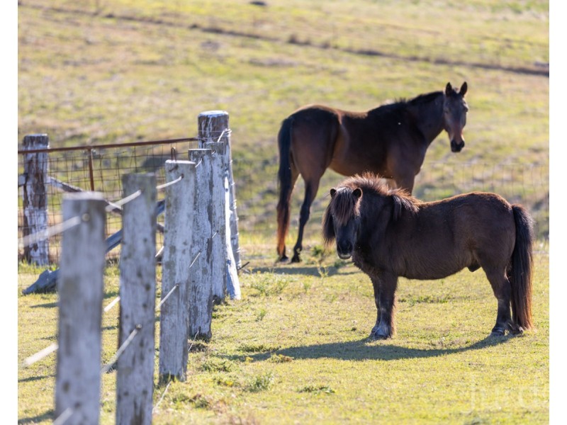 485 Luskintyre Road, Luskintyre NSW 2321