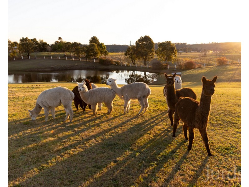 485 Luskintyre Road, Luskintyre NSW 2321