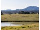485 Luskintyre Road, Luskintyre NSW 2321