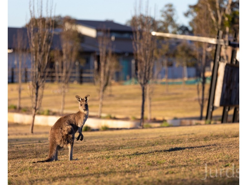 91 Casuarina Drive, Pokolbin NSW 2320