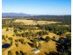 1406 Wine Country Drive, Rothbury NSW 2320