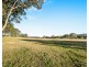 49 Millfield Road, Paxton NSW 2325