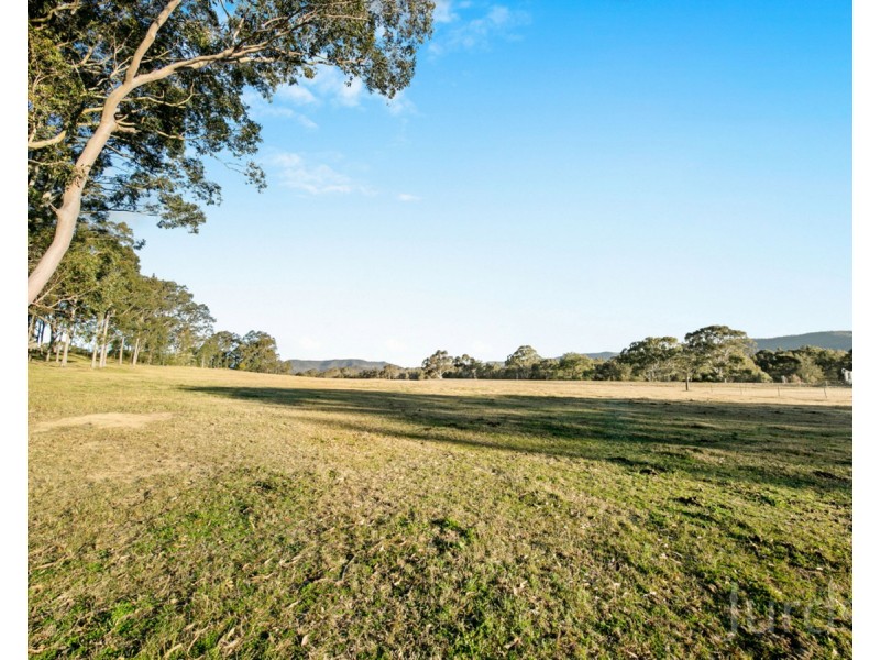 49 Millfield Road, Paxton NSW 2325