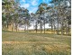 49 Millfield Road, Paxton NSW 2325