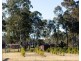 49 Millfield Road, Paxton NSW 2325