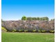 VUE – Lot 308 Coolalta Drive, Nulkaba NSW 2325