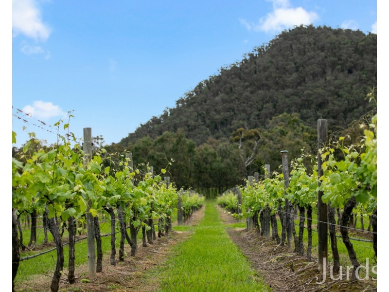 997 Milbrodale Road, Broke NSW 2330