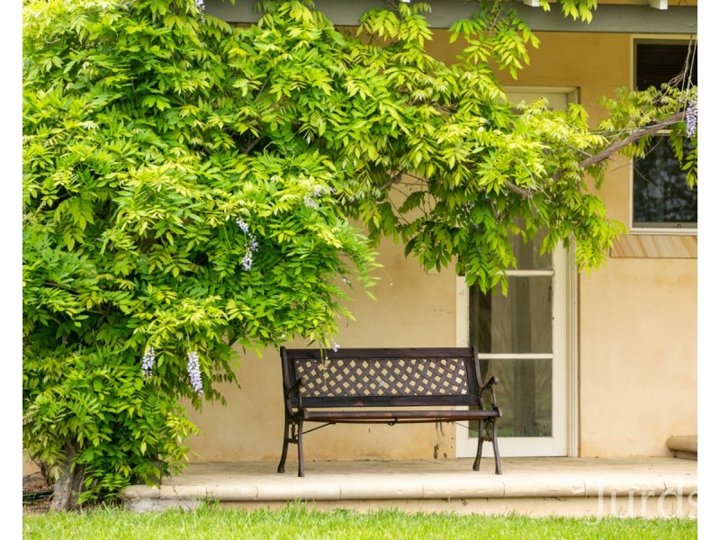 997 Milbrodale Road, Broke NSW 2330