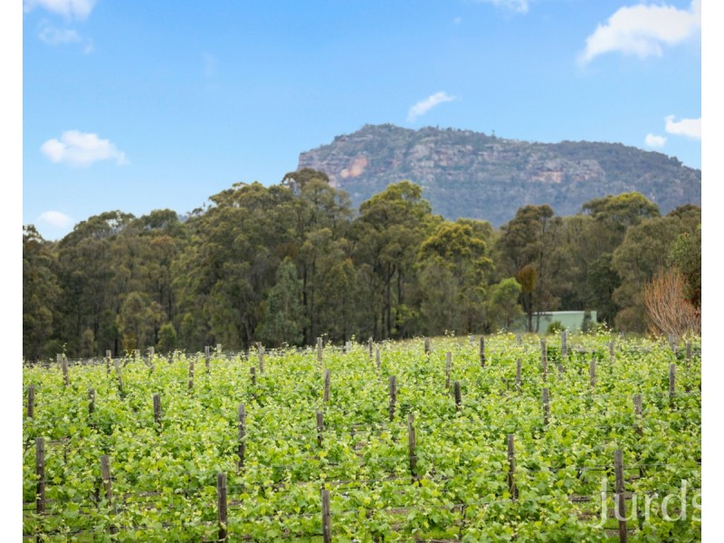 997 Milbrodale Road, Broke NSW 2330