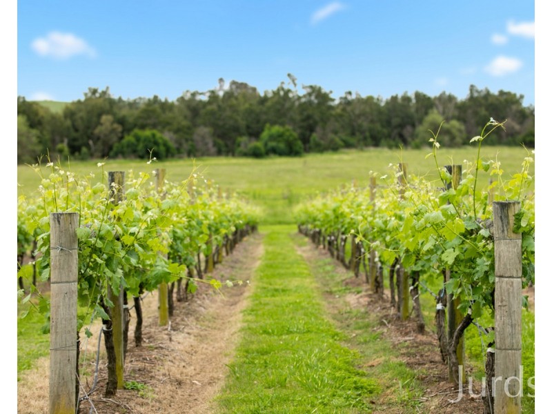 997 Milbrodale Road, Broke NSW 2330