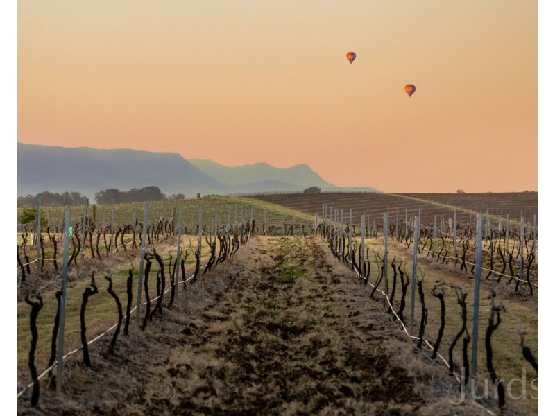 86 Marrowbone Road, Pokolbin NSW 2320