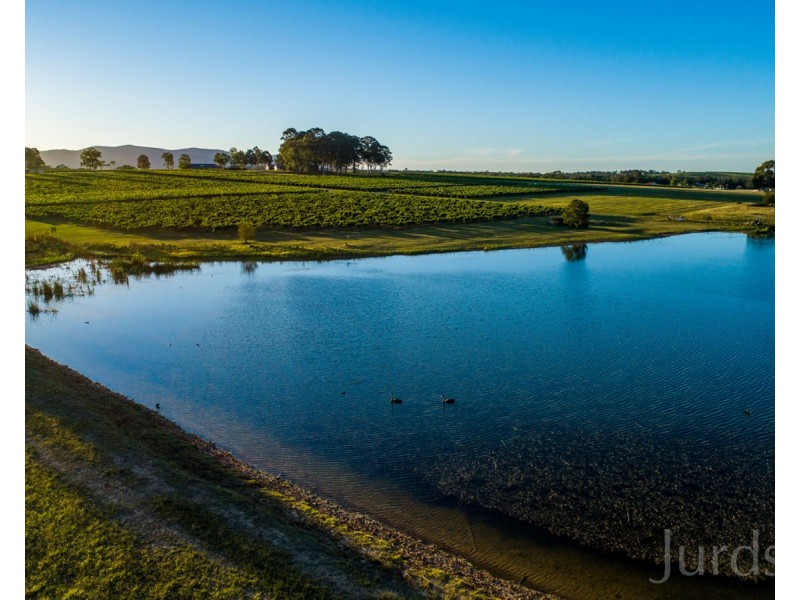 305 Wine Country Drive, Nulkaba NSW 2325