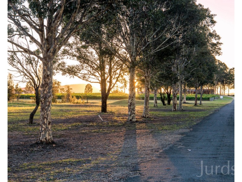 305 Wine Country Drive, Nulkaba NSW 2325