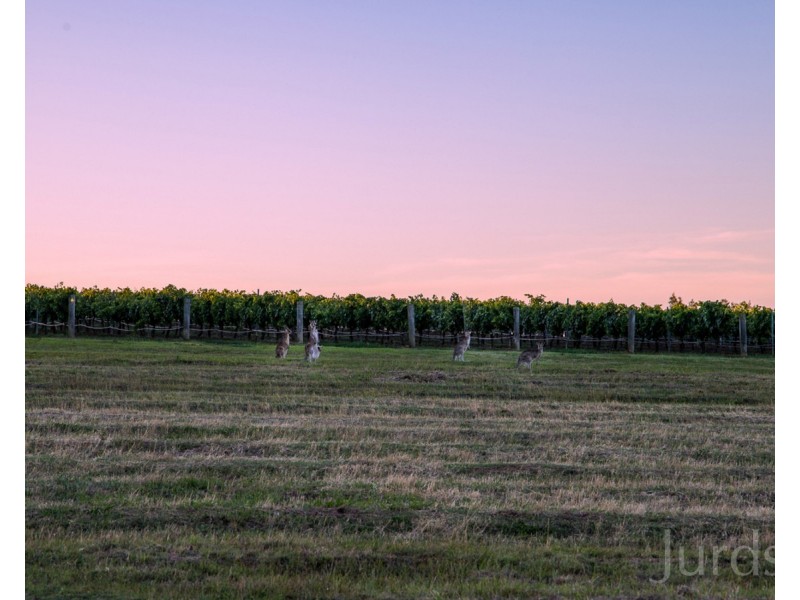 305 Wine Country Drive, Nulkaba NSW 2325