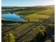 305 Wine Country Drive, Nulkaba NSW 2325