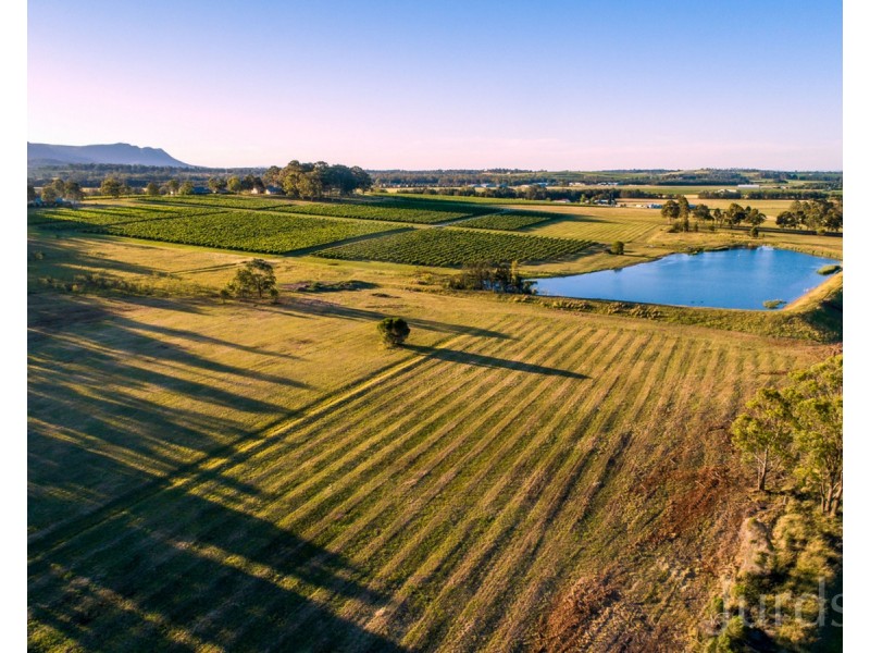 305 Wine Country Drive, Nulkaba NSW 2325