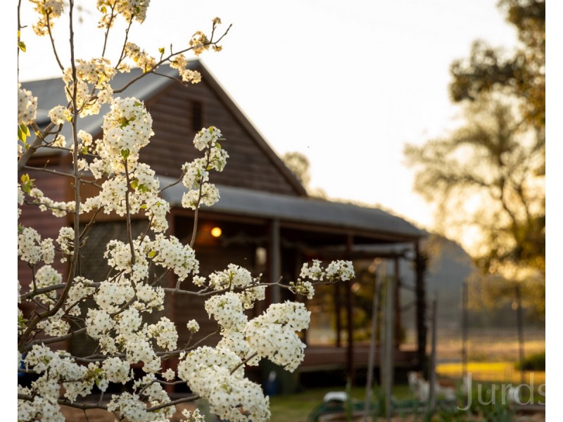 891 Milbrodale Road, Broke NSW 2330