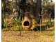 891 Milbrodale Road, Broke NSW 2330