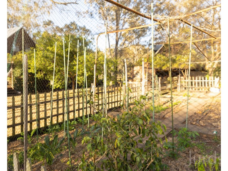 14 Merewether Close, North Rothbury NSW 2335