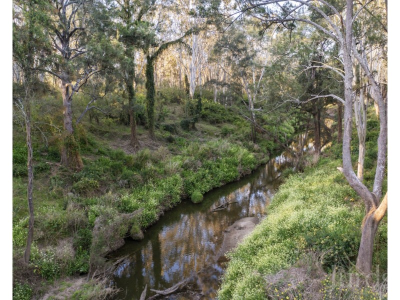 14 Merewether Close, North Rothbury NSW 2335