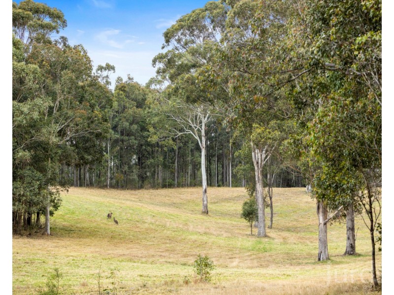 Proposed Lot 22 Coney Creek Lane, Quorrobolong NSW 2325