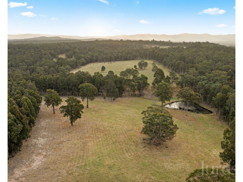 Proposed Lot 22 Coney Creek Lane, Quorrobolong NSW 2325