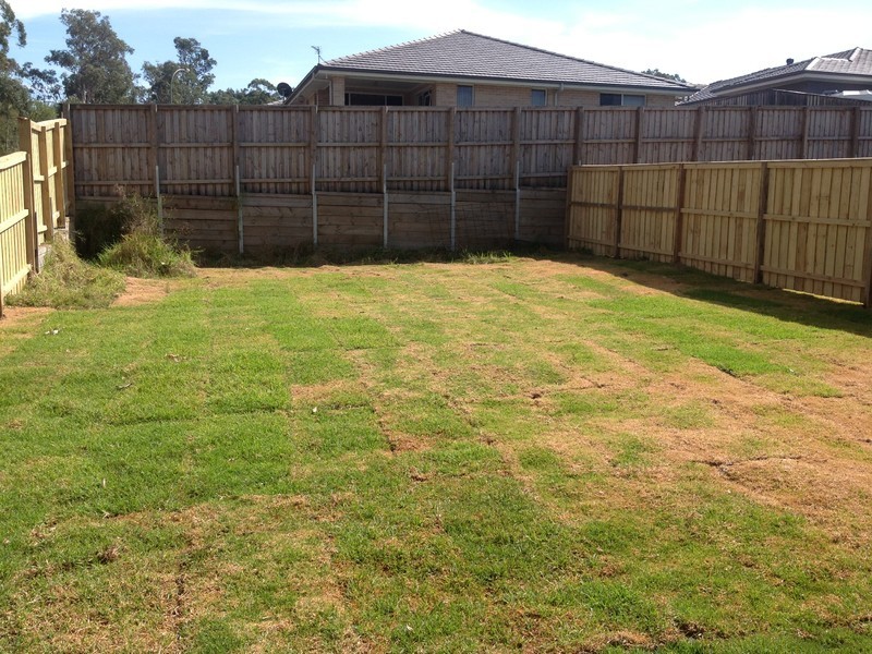 15 Arrowgrass St, Aberglasslyn NSW 2320