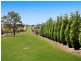 665 Luskintyre Road, Luskintyre NSW 2321