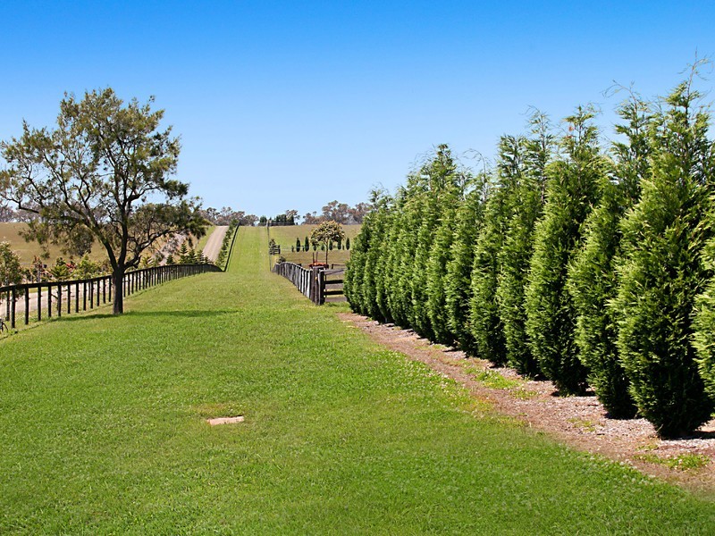 665 Luskintyre Road, Luskintyre NSW 2321