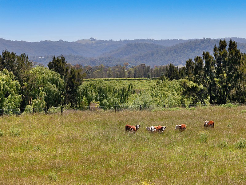 665 Luskintyre Road, Luskintyre NSW 2321