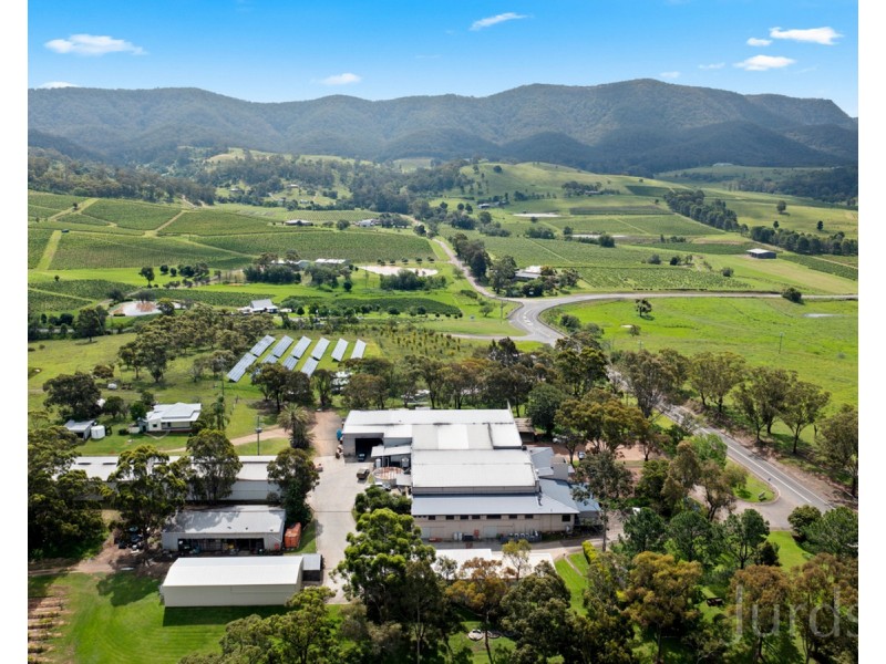 555 Oakey Creek Road, Pokolbin NSW 2320