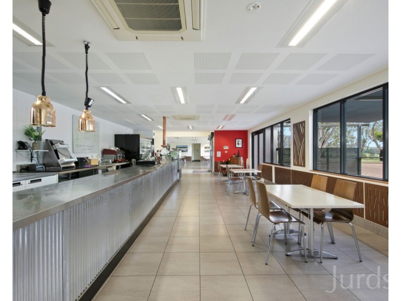 555 Oakey Creek Road, Pokolbin NSW 2320