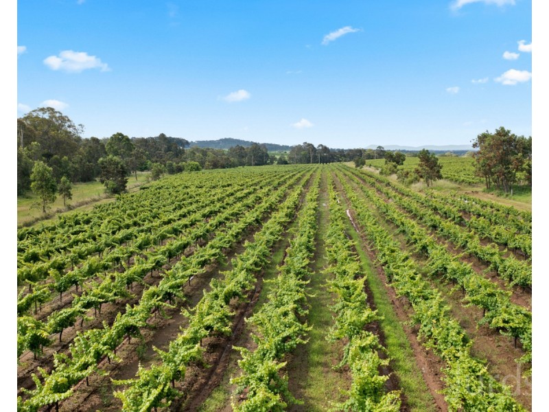555 Oakey Creek Road, Pokolbin NSW 2320
