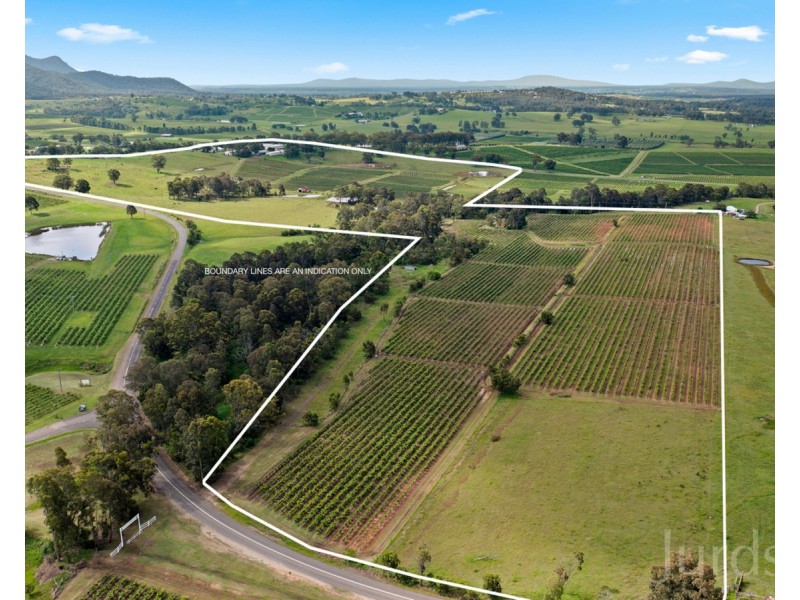 555 Oakey Creek Road, Pokolbin NSW 2320