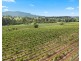 555 Oakey Creek Road, Pokolbin NSW 2320