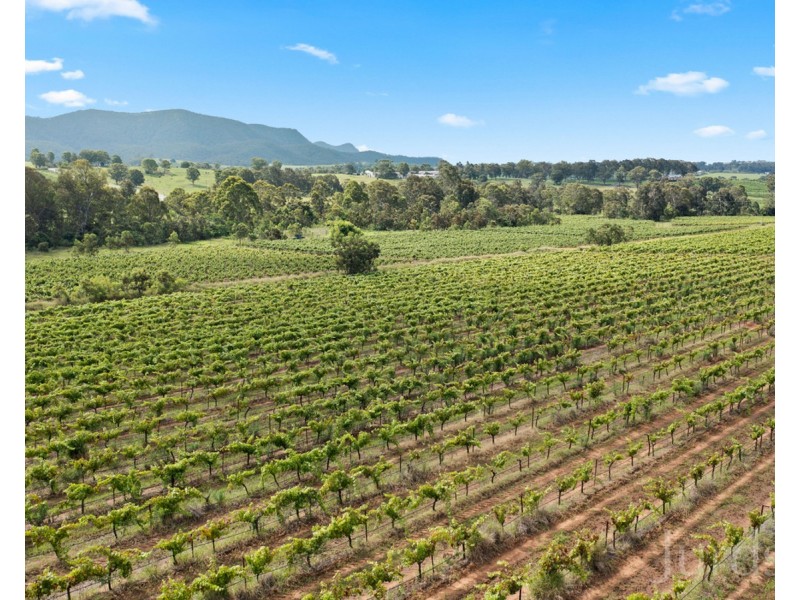 555 Oakey Creek Road, Pokolbin NSW 2320