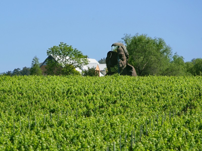 162 Wilderness Road, Lovedale NSW 2325