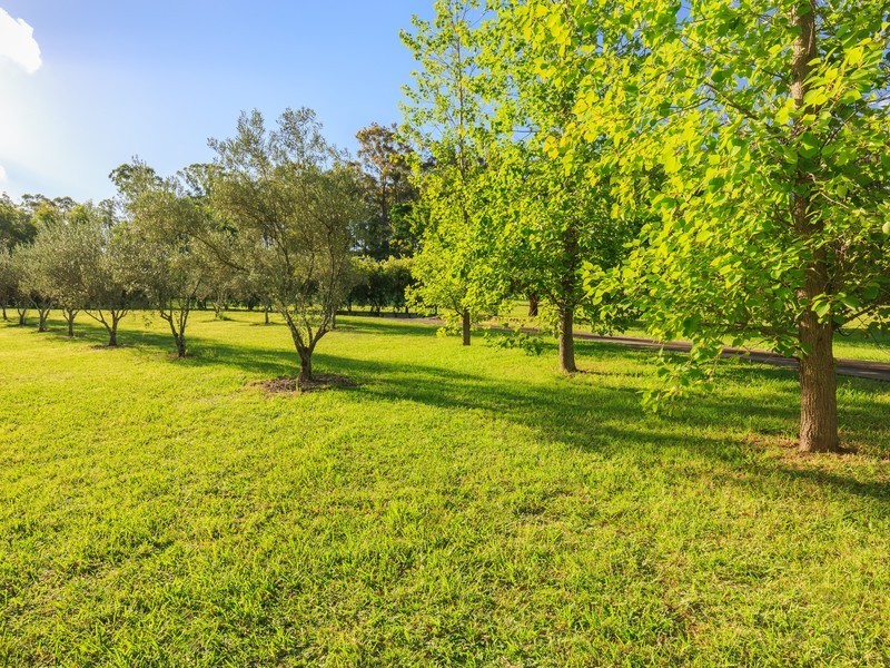 1516 Mount View Road, Millfield NSW 2325