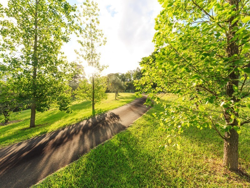 1516 Mount View Road, Millfield NSW 2325