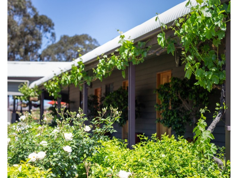 609 McDonalds Road, Pokolbin NSW 2320